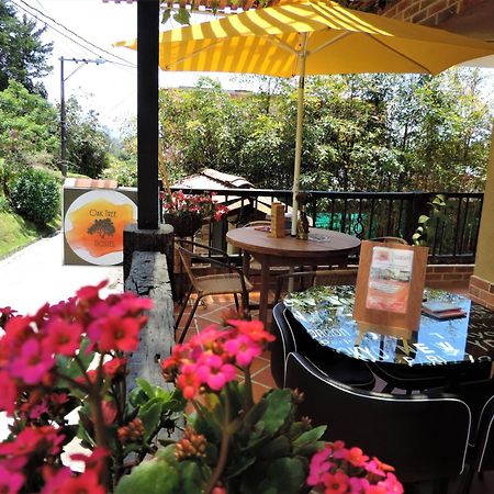 Oak Tree House Guest House Guatape Luaran gambar